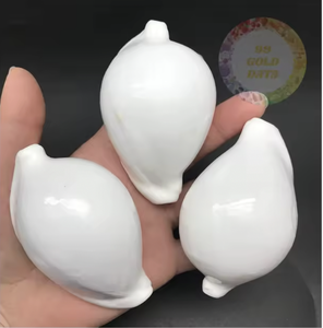 Polished White Cowrie <b>Shell</b> Natural Seashell Wholesale Bulk Supply for Jewelry <b>Bracelet</b> Craft and Home Decoration - Product Image 3