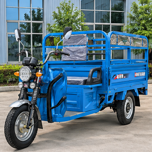 Triciclo Eléctrico de Pasajeros, Carrocería Abierta, Motocicleta de 3 Ruedas, Resistente, Azul, >1000W 60V - Product Image 4