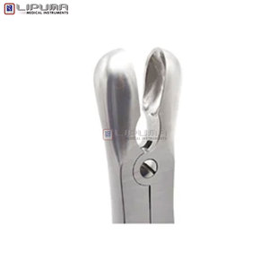 Pinces à os Semb 22,5 cm, outil chirurgical orthopédique en acier inoxydable pour la coupe et le façonnage des os, instruments médicaux - Product Image 6