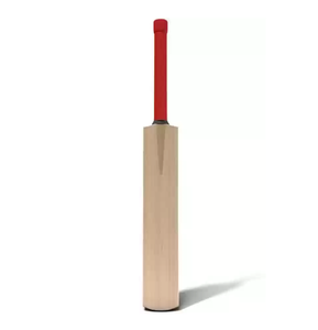 Bate de Críquet Personalizado de Alta Calidad, Nueva Edición, 100% Madera de Salgueiro Inglés, Color Natural, Peso Personalizado - Product Image 1