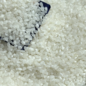 Arroz Japonés para Sushi de Alta Calidad, con un 3% de grano roto como máximo, Marca Privada ODM/OEM |   Empaquetado de 5 libras 10 libras |   Fábrica de Manufactura (Joice) - Product Image 1