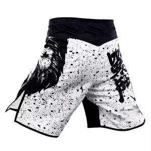Shorts de MMA Unisex Personalizados de Fábrica, Sublimados, para Artes Marciales, Elásticos en 4 Direcciones, de Secado Rápido, Poliéster, Venta al Por Mayor OEM - Product Image 2