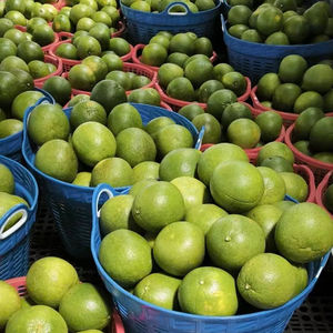 Pomelo Verde Fresco de Vietnam, Dulce y Jugoso, con Pulpa Rosada, Calidad Premium de Exportación, Cítrico, 60-90 Días de Vida Útil, Uso Inmediato - Product Image 1