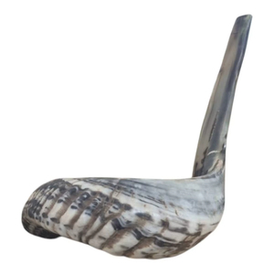 Cuerno de Shofar Natural, Económico, Hecho a Mano, para la Oración Judía, Rituales y Prácticas Espirituales - Product Image 1
