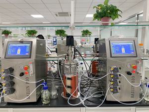 Bailun 10L Single layer precision <b>fermentation</b> bioreactor jacket bioreactor inactivated flu vaccine BLBIO-GJG - Product Image 5