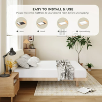 Matelas médical en latex à mémoire de forme visco pour lit réglable roulé avec lots de meubles de maison pour matelas Matelas en mousse à mémoire Euro-Top
