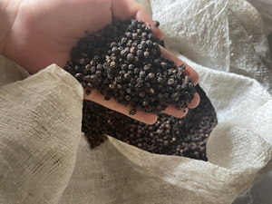 พริกไทยดำพรีเมียมจากเวียดนาม คุณภาพดี สะอาด ไม่เป็นขุย พริกไทยขาว |   ผู้ผลิตโดยตรง (จอยซ์) - Product Image 2