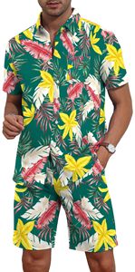Conjunto coordinado para hombre con estampado tropical, camisa de manga corta y pantalones cortos de playa, conjunto informal de verano para vacaciones, top colorido, conjunto de dos piezas para hombre. - Product Image 3