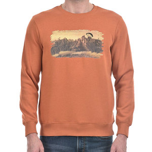 Sudadera de moda nueva para hombre, talla grande, color personalizable, nuevo estilo, sudadera para hombre, venta en línea - Product Image 5