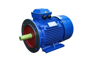 Motor trifásico asíncrono de estructura industrial, 380V, hierro fundido, 208–230/240 V, 10 kw, a prueba de goteo/IP55, 12 meses - Product Image 6