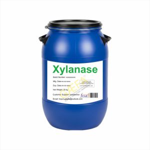 Xilanasa (Grado Alimenticio) en Polvo IN;34648 - Product Image 1