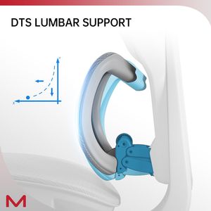 Sedia da Ufficio D2 Pro con Schienale Alto, Supporto Lombare Autoadattivo DTS, Braccioli Multi-Regolabili, Controllo a Filo D - Product Image 3