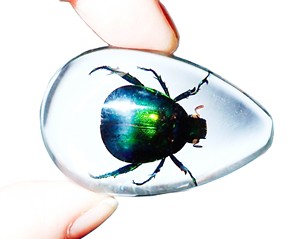 Cabochon en plastique de spécimen réel de scarabée coloré, taille poire, 46x30 mm, fond plat transparent, pour artisanat et fabrication de bijoux - Product Image 5