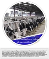 Penjepit Leher Sapi dari Pipa Baja Galvanis Celup Panas untuk Pengikat Kepala Sapi