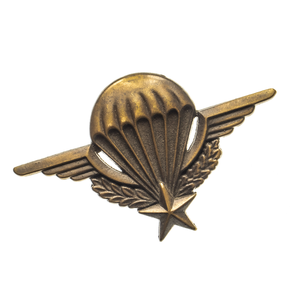 Badge en émail personnalisé avec des ailes et des anneaux, design circulaire en métal, attache à épingle de sécurité sans nickel - Product Image 3