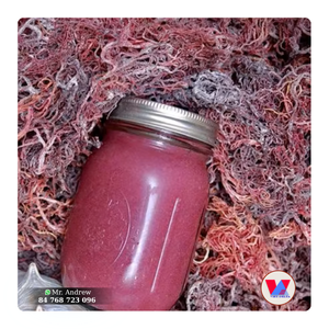 Algues Marines Séchées de Haute Qualité 1kg, Type Cottonii, Faible Humidité, Qualité B2B pour Salades et Usage Alimentaire - Product Image 1