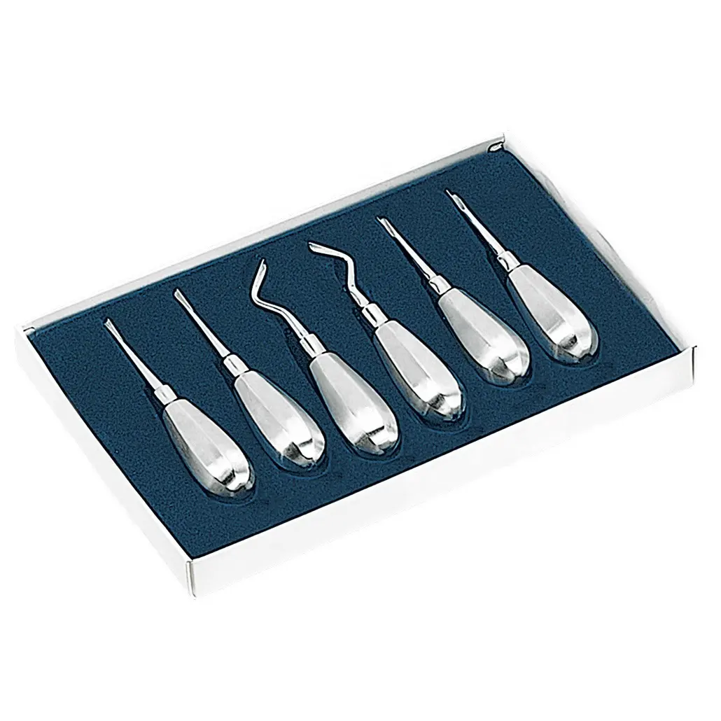 Autel — ensemble d'ustensiles pour Extraction de racine dentaire, en acier inoxydable médical, de haute qualité, 6 pièces, nouveauté