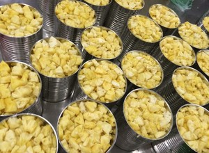 Canned Pineapple Ananas Pieces in <b>Light</b> Syrup 14 - 16 Brix for Smoothie Fruit Salad Ingredient Uniform Thickness Eat Directly - Product Image 6