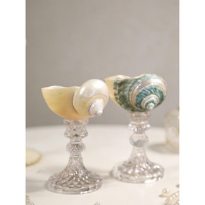 Las copas de vino de concha marina y vidrio más demandadas, ideales para presentaciones creativas de bebidas. - Product Image 2