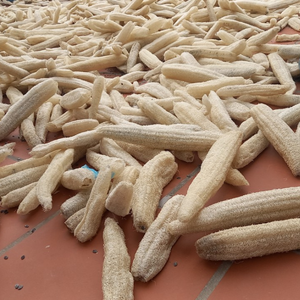 Luffa séchée entière du Vietnam fiable pour une qualité d'éponge constante et des outils de stockage de cuisine à long terme 99 Gold Data - Product Image 4