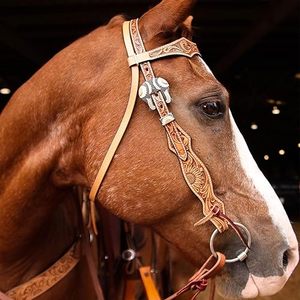 Western Horse Bridle Set Hand <b>Tooled</b> <b>Leather</b> Headstall Breast Collar Matching Reins Conchos Decorated Custom Colors Custom Horse - Product Image 6