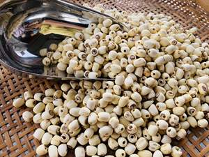 Alto estándar para el té, beber después de mezclarlo con agua. Semillas de loto secas enteras con un alto contenido nutricional. Semillas de loto crudas a granel. - Product Image 6