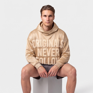 Men's <b>100</b>% <b>Polyester</b> Hoodie Oversized Winter Heavy <b>Polyester</b> Hooded Sweatshirt Sportswear Training Chenille Embroidery Hoodie - Product Image 3