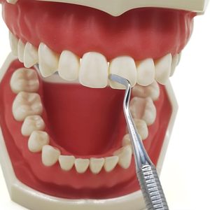 Premium Dental Composite Resin <b>Modeling</b> Instrument Kit | Stainless Steel Handle with <b>Foam</b> Sculpt Pads (Large/Small) Restorative - Product Image 4