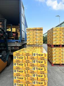 Bebida Energética Sin Azúcar y Baja en Carbohidratos de Marca Privada OEM ODM de Fábrica, Latas de Aluminio de 250 ml/330 ml (Paquete de 24), Bebidas Energéticas con Taurina - Product Image 6