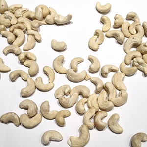 Standard Export Vietnam Origin W320 White Cashew Nut Kernels Halal Approved for Nut Making and Snack Food Manufacturers - Product Image 2