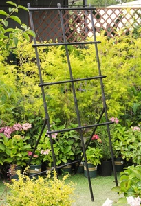 Support de jardin pliable en métal pour courgettes et concombres - Product Image 6
