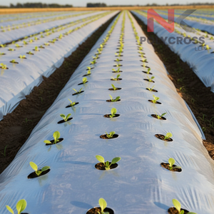 Lámina de Plástico Negra Plateada para Acolchado Agrícola, Película Protectora UV para Control de Malezas, para Cultivo de Vegetales, Frutas y Cultivos - Product Image 5