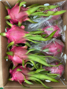 Dragon Fruit Frais Entier Peau Rose Écailles Vertes Qualité Exportation Vente en Gros Prêt à l'emploi - Product Image 1