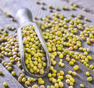 Frijoles Mung Verdes Orgánicos de Primera Calidad, Frijoles Mung Enteros para Germinar, Cocinar, Procesar y Comercio Internacional a Precio Económico - Product Image 3