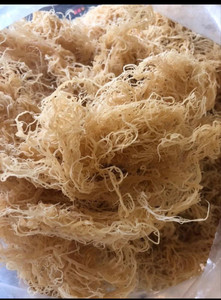 Usine exportation or wildcraft mousse de mer/mousse de mer crue en gros/Eucheuma cottonii algues bon prix de haute qualité 2024 - Product Image 4