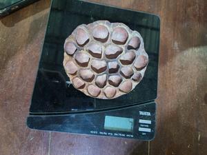 Toan Tai Loc Phat – Capsules de graines de lotus séchées de haute qualité, écologiques, du Vietnam, naturelles, brunes, plantes décoratives pour la décoration intérieure - Product Image 3