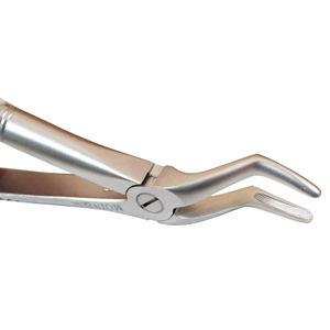 Pinzas para Extracción de Raíces Dentales # Pinzas de Extracción Dental de Acero Inoxidable de 51 mm para Procedimientos Quirúrgicos de Raíz Superior - Product Image 6