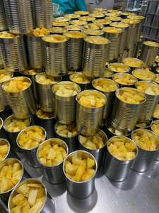 Ananas en conserve 3kg en conserve, tranches, morceaux, éclats dans le sirop, approvisionnement en vrac pour la restauration et la vente en gros - Mme Tarina - Product Image 6
