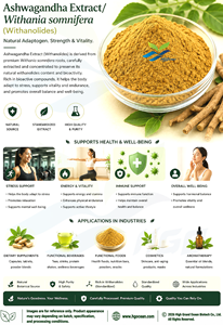 Suministro directo de fábrica de HGO EXTRACTO DE Ashwagandha/Withania somnifera (grado alimenticio) Withanolides 5% (extracto estandarizado) - Product Image 3