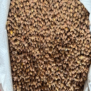 Garbanzos Negros de Primera Calidad (Chickpeas Desi), Alimento Rico en Proteínas Naturales, Legumbres de Grado Alimenticio para Consumo Humano, a Granel, 18 Meses de Duración - Product Image 1