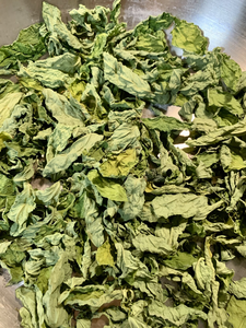 PROVEEDOR PROFESIONAL DE VIETNAM: Polvo de Hoja de Katuk Natural Seca, Bolsa a Granel de 20 kg para Mezclas de Té, Productos para Sopas e Ingredientes Alimenticios - Product Image 6