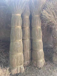 Fabriqué au Vietnam HNIECO Marque Seagrass Meubles Artisanat Matières premières 25/50kg Meilleur Prix OEM Longueur 1.2m-2.0m Agricole - Product Image 3