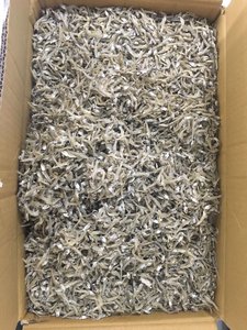 ปลาแอนโชวี่แห้งโปรตีนสูงสำหรับการแปรรูปอาหาร ผู้จัดจำหน่ายขายส่ง - Product Image 6