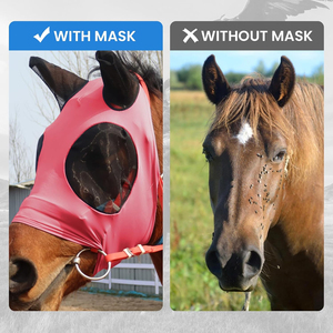 Máscara Antimoscas para Caballos de Malla de Poliéster de Alta Calidad con Diseño Personalizado, Servicio OEM para Uso Ecuestre por Ilfas Industries - Product Image 3