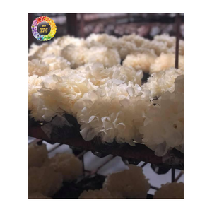Fonge de neige séchée naturelle du Vietnam, champignon Tremella, fonge blanche, ingrédient alimentaire pour soupes sucrées/desserts, approvisionnement en vrac - Product Image 1