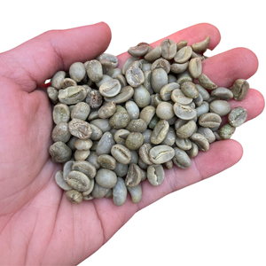 Café Vert ARABICA Semi-Lavé de Haute Qualité, Certifié ISO/HACCP/BRC, 60kg, Origine Cau Dat Lam Dong, Fabricant Vietnamien - Product Image 1