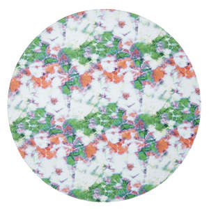 Set di 4 Tovagliette Rotonde Bohémien Resistenti con Motivo Vegetale di Mode Living, Ecologiche per l'Uso Quotidiano - Product Image 2