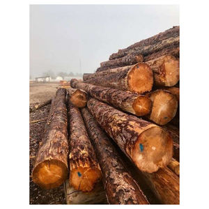 Bois naturel en rondins pour la menuiserie, la fabrication de meubles, la construction, vente en gros, fabricant - Product Image 5