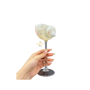 Taza Hecha a Mano con Concha de Caracol, Decoración Natural Premium para el Hogar, Artesanía para Compradores al por Menor y al por Mayor - Product Image 3