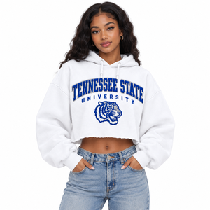 Sudadera con Capucha Corta Personalizada para Mujer, Oversize, de Forro Polar Grueso, Bordada, Estilo Universitario, Streetwear, Marca Privada OEM - Product Image 3